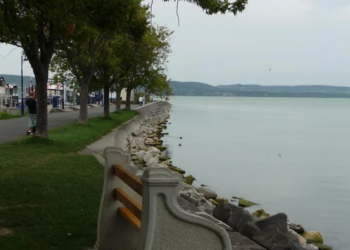 Nadas Tarsashaz 아파트